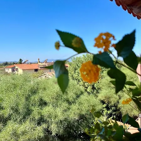 Casa Di Rosy San Sperate