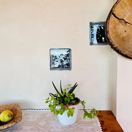 Casa Di Rosy *