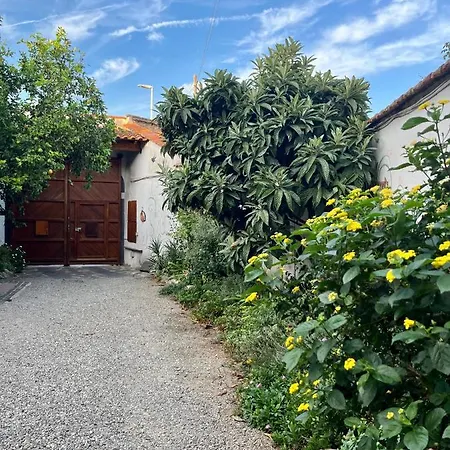 Casa Di Rosy San Sperate