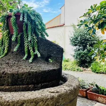 Casa Di Rosy شقة